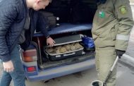 Чемодан с сухопутными черепахами пытались вывезти из Костаная в Челябинск