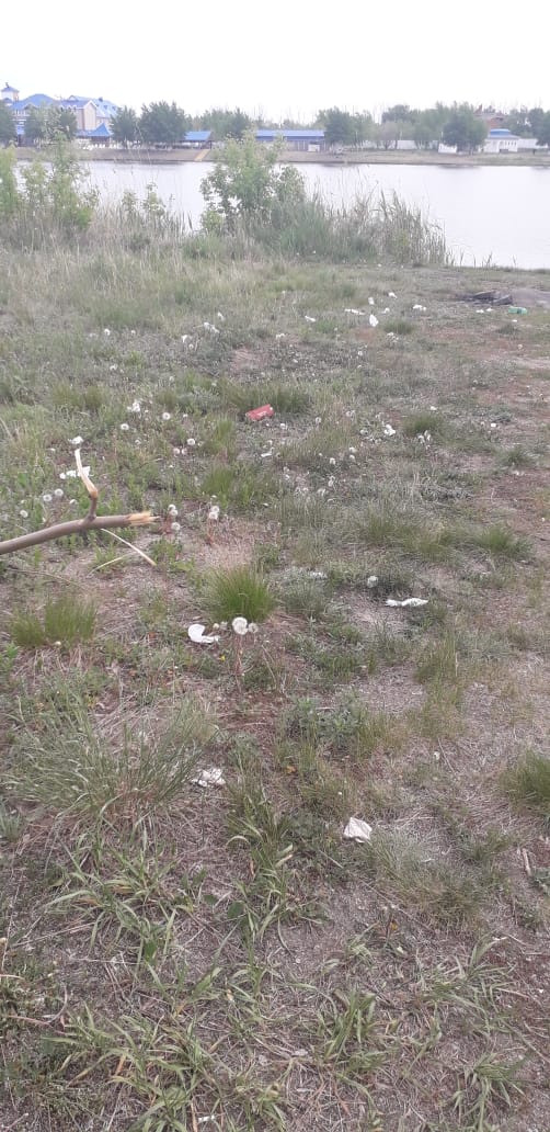 IMG-20190529-WA0004