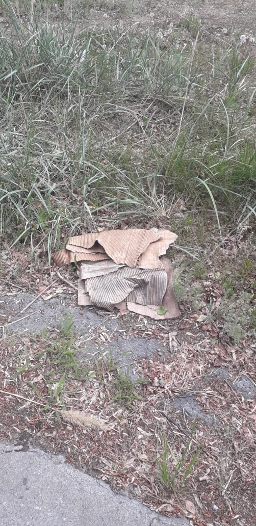 IMG-20190529-WA0007