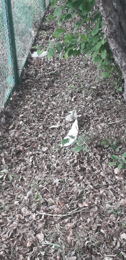 IMG-20190529-WA0009