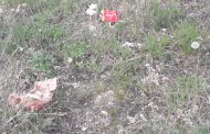 Костанайский пляж, в уборке которого принимал участие министр Абаев, снова засыпан мусором