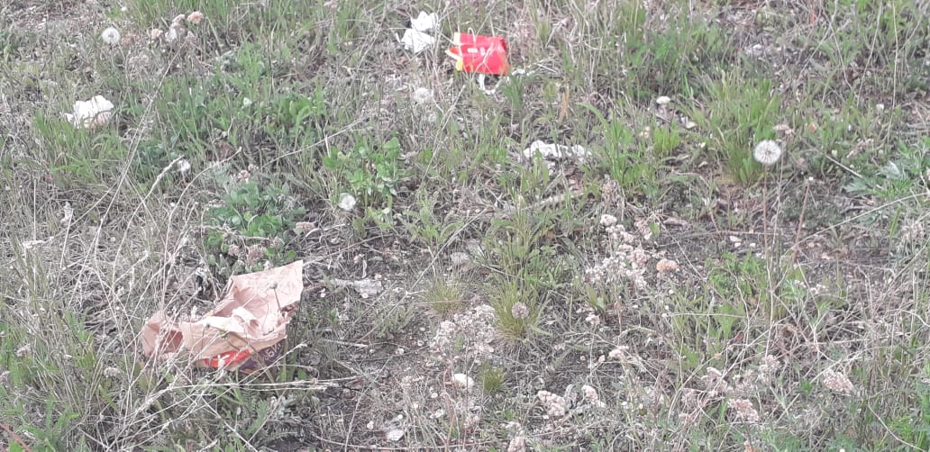 Костанайский пляж, в уборке которого принимал участие министр Абаев, снова засыпан мусором