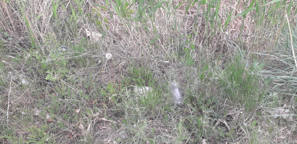 IMG-20190529-WA0017