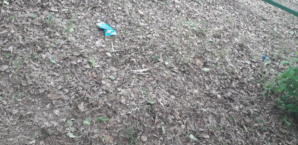 IMG-20190529-WA0018