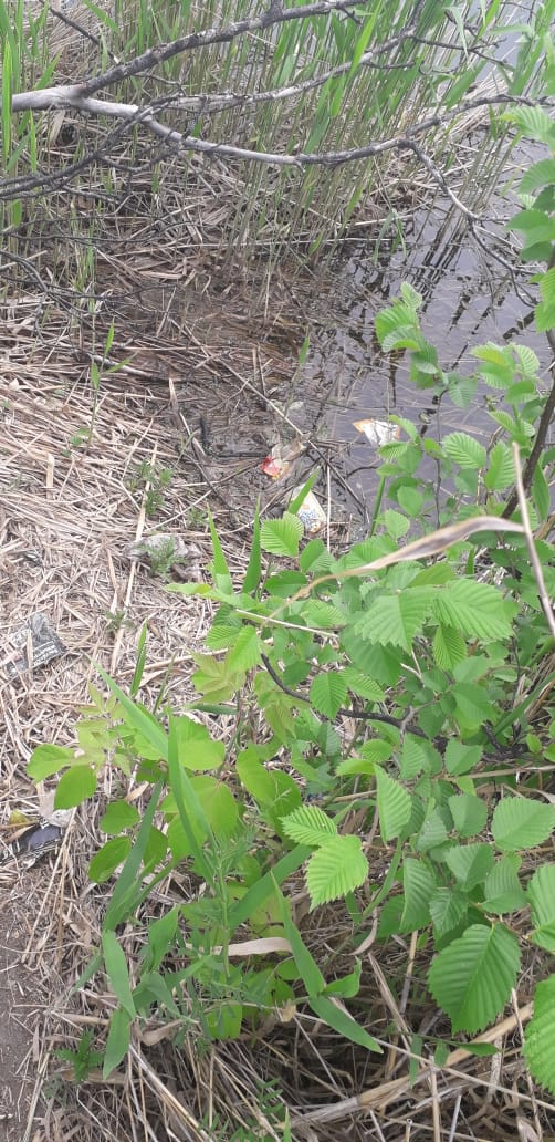 IMG-20190529-WA0021