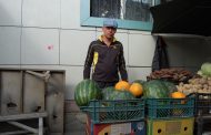 В Костанайской области начался сезон продажи арбузов и дынь