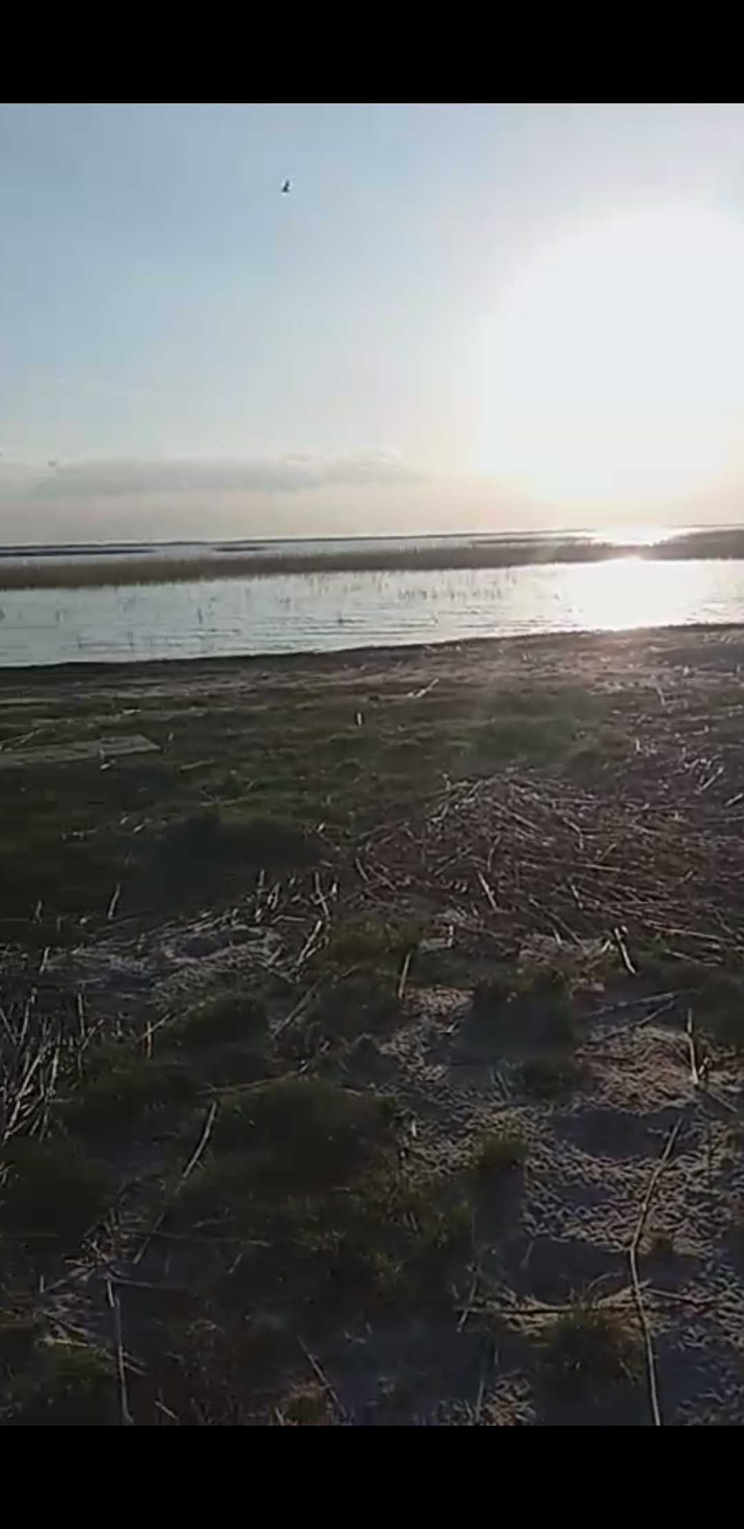 Screenshot_20190611-120826_Video Player