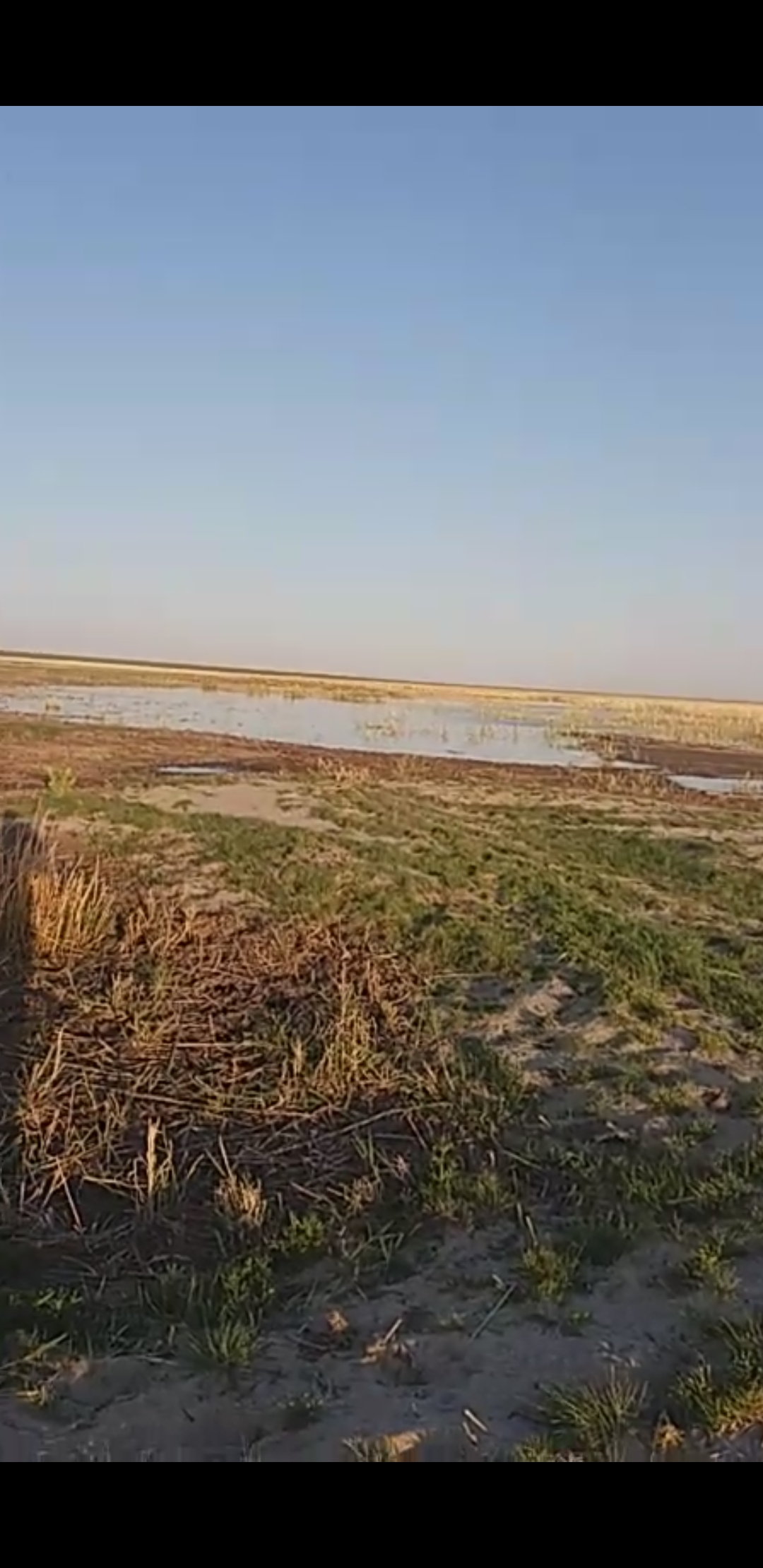 Screenshot_20190611-120836_Video Player