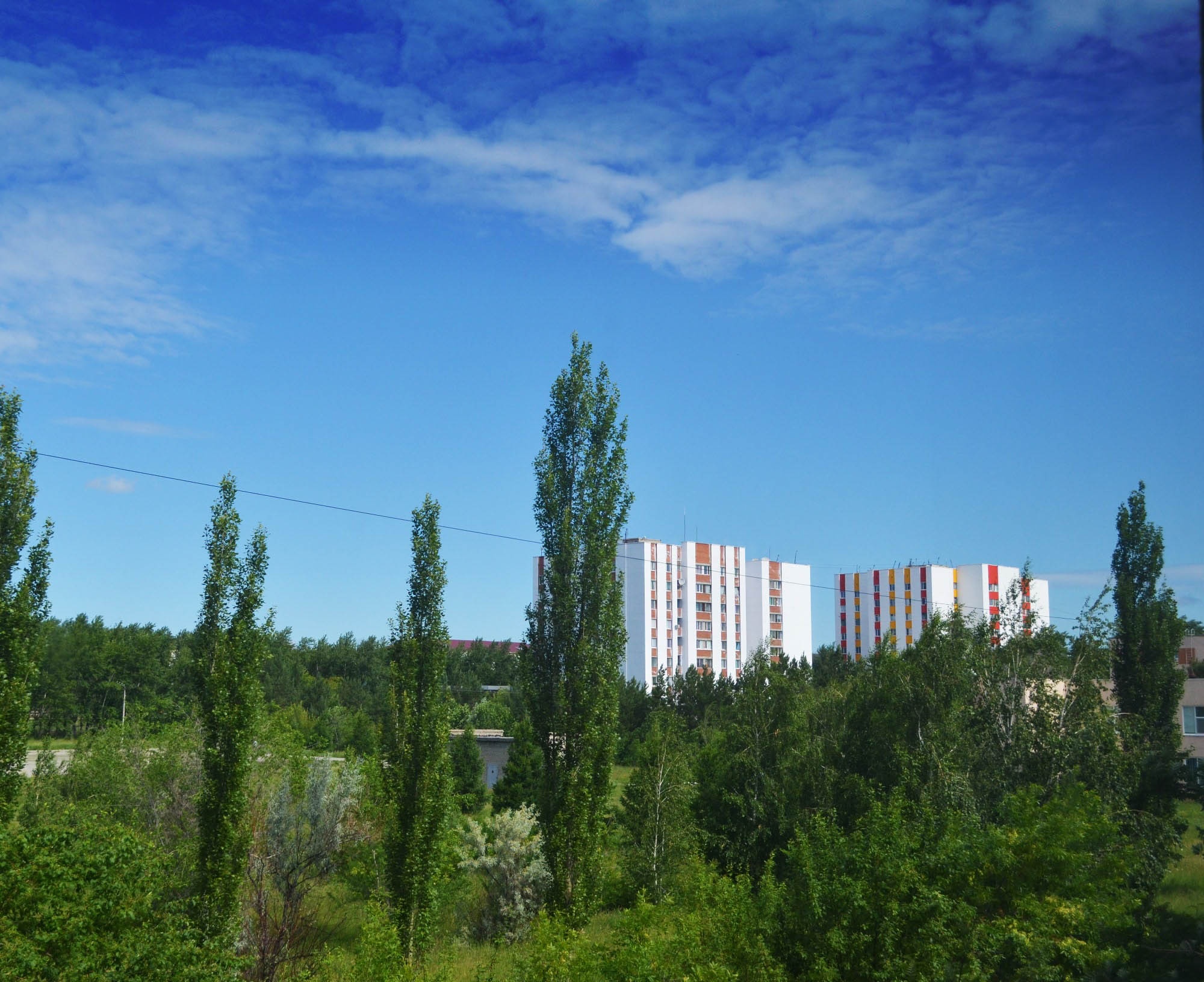 Одиночная война с клопами в костанайских домах результатов не приносит
