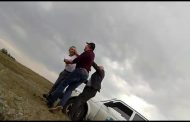 Руководителя ветеринарной станции Карабалыка, скандально выяснявшего отношения с подчиненными, уволили