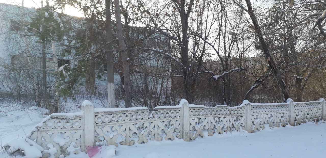 IMG-20191119-WA0013