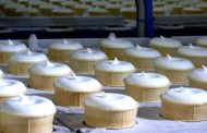 Челябинские специалисты забраковали костанайское мороженое