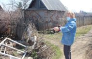 Мародерство началось на дачных участках в Костанае