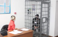 Там, где ласточки вьют гнезда…