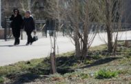«За 8 лет высажено 728 деревьев. И ни одно не принялось!», — костанаец Леонид Дьячков произвел несложную арифметику