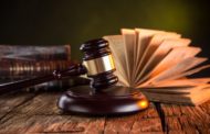 К трем годам лишения свободы приговорили замруководителя инспекции лесного и животного мира