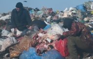Ситуация с выбросом биологических отходов в Костанайском районе стала одним поводов для депутатского запроса от депутатской партии «Ак Жол»