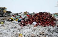 «В отношении ТОО «Горизонт-2012» начата проверка на соблюдение Экологического кодекса», — прокурор Костанайского района