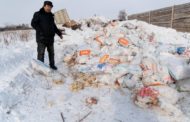 В Костанайском районе около собачьего приюта образовалась свалка из куриных туш