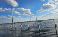 Где гостеприимнее встретили воду Тобола: в Костанае или в Кургане?