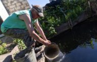 В костанайском садовом обществе «Мичуринец» с начала мая нет воды