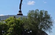 При реконструкции аквапарка «Осьминог» вырубят 38 деревьев