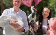 Уролога Антона Кистанова, пострадавшего от рук пациента, выписали из больницы