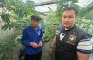 Сельчанин из Костанайской области выращивал в огороде марихуану