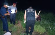 Незаконная плантация: в районе Б.Майлина задержан мужчина с кустами каннабиса