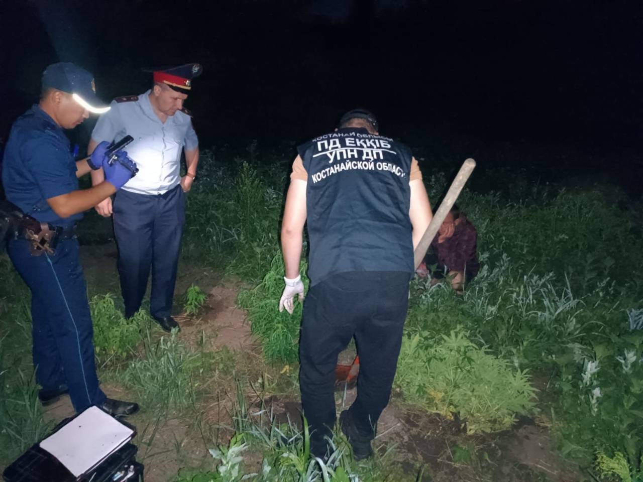 Незаконная плантация: в районе Б.Майлина задержан мужчина с кустами каннабиса