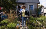 «Все в фекалиях»: в Костанае дачное общество утонуло в отходах