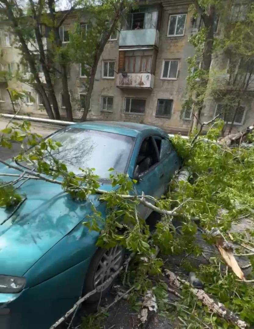 В Костанае женщина пытается доказать очевидное, но почему суд игнорирует прямые нормы законодательства?