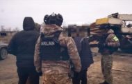Схема незаконной вырубки леса пресечена в Костанайской области