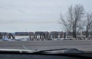 Что случилось с деревьями вдоль Аулиекольской трассы в Тобыле?