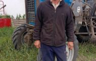 Кассационный суд освободил пастуха из Костанайской области от выплаты почти 20 млн тенге